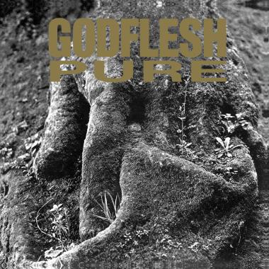 Godflesh -  Pure